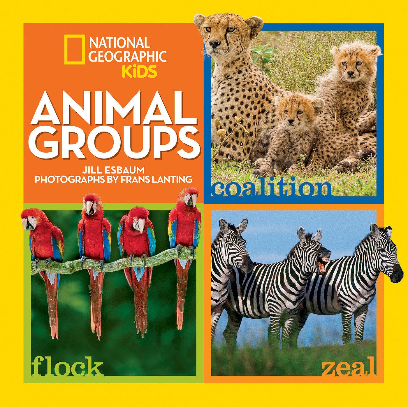 Vorderes Coverbild Animal Groups