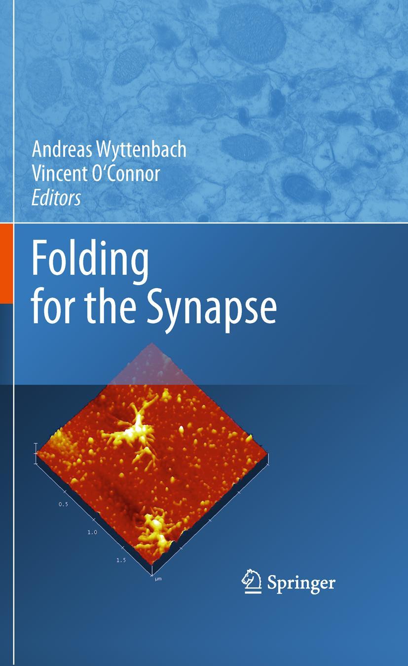 Vorderes Coverbild Folding for the Synapse