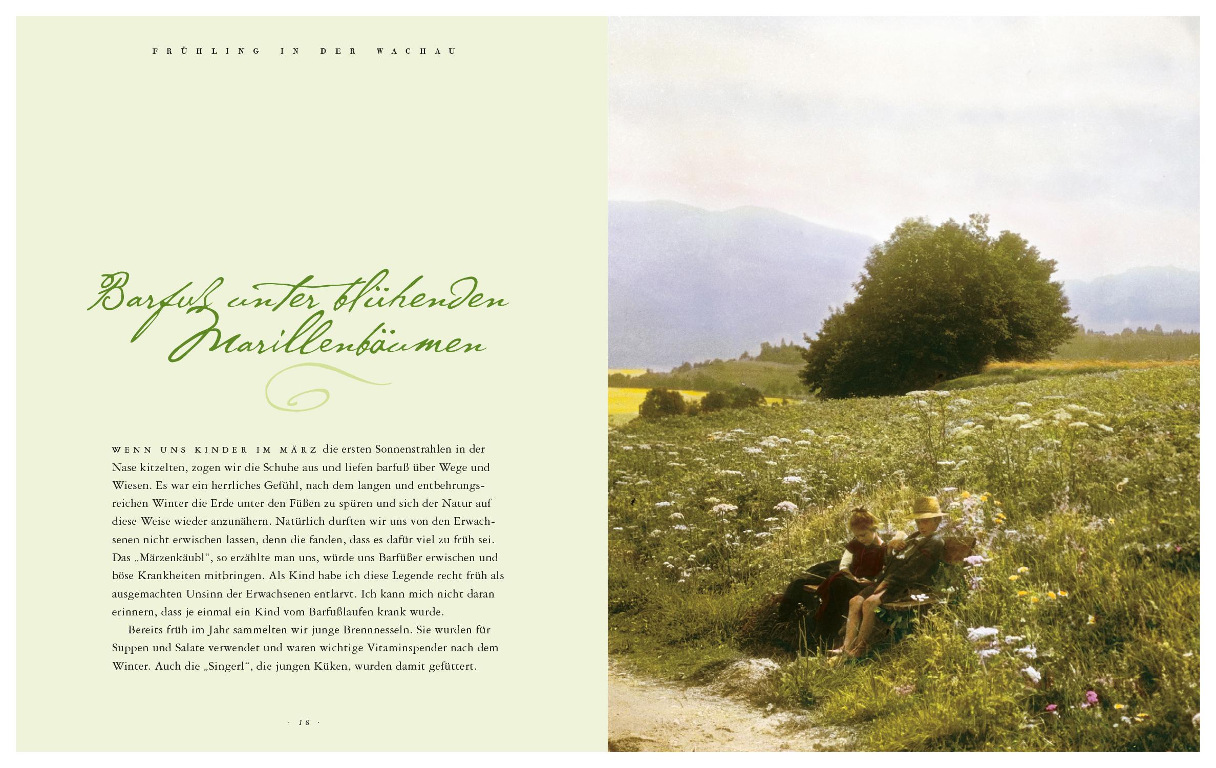 Beispielinhalt (Bild) Das Wachau Kochbuch