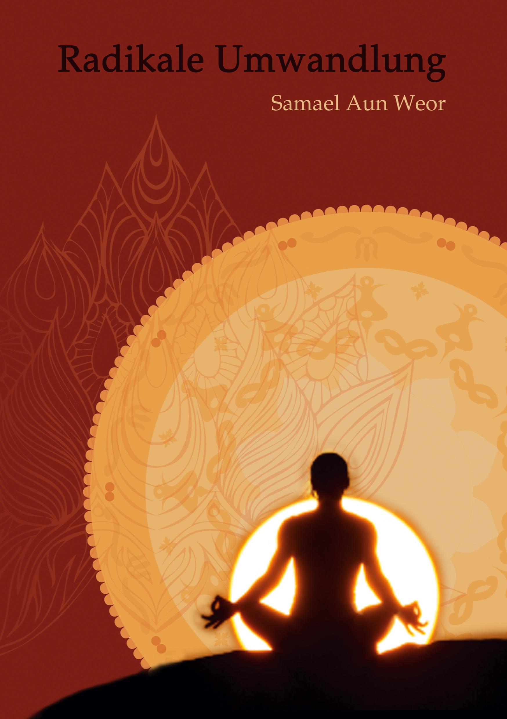 Vorderes Coverbild Radikale Umwandlung