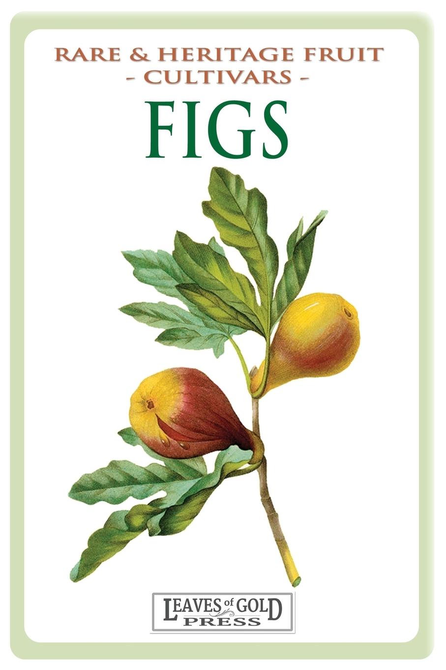 Vorderes Coverbild Figs