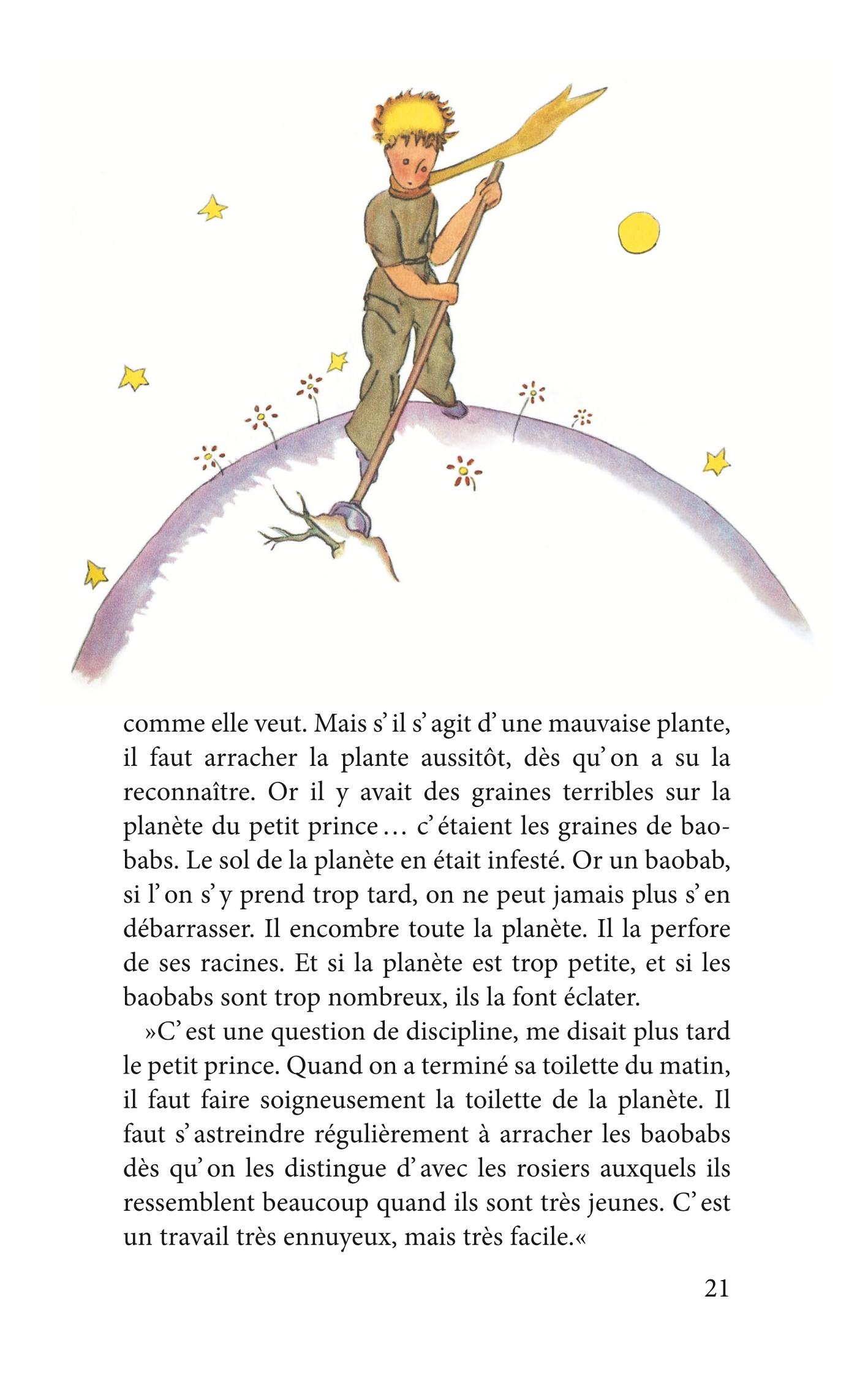 Beispielinhalt (Bild) Der Kleine Prinz · Le Petit Prince