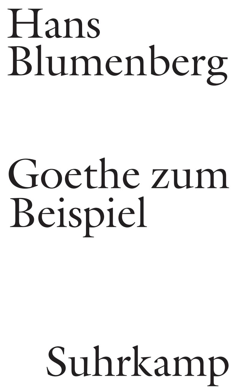 Vorderes Coverbild Goethe zum Beispiel