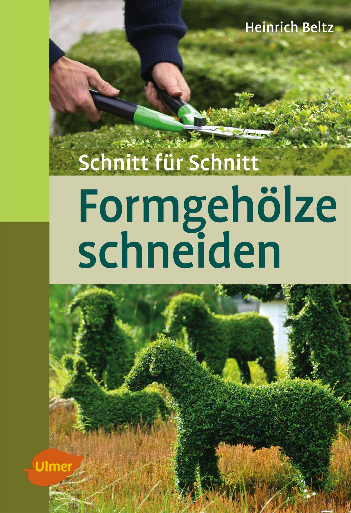 Vorderes Coverbild Formgehölze schneiden