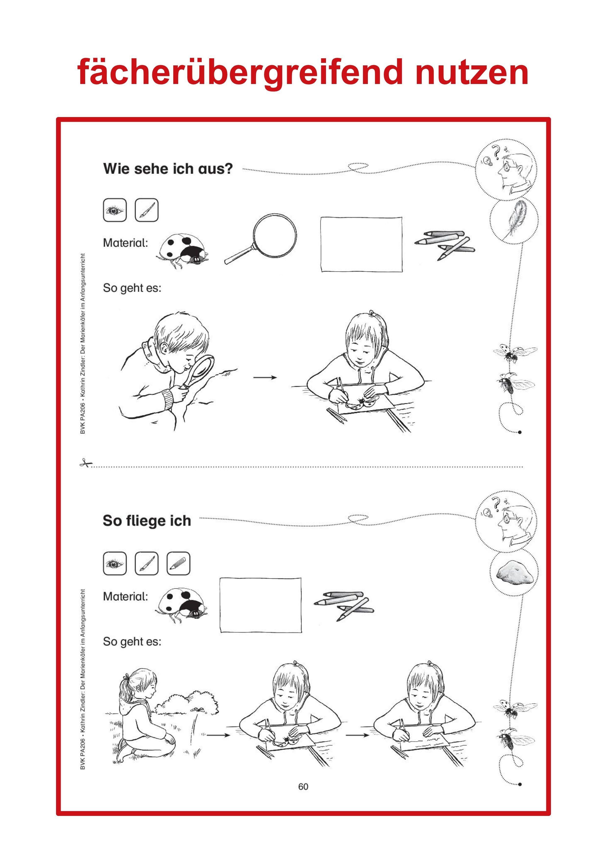 Beispielinhalt (Bild) Der Marienkäfer im Anfangsunterricht