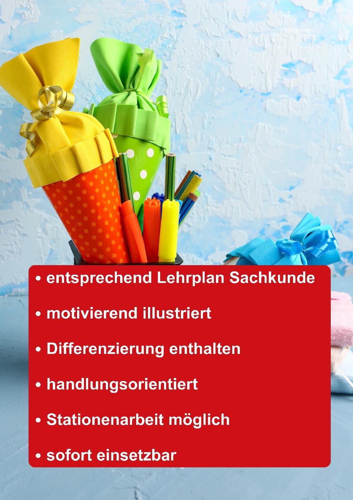 Beispielinhalt (Bild) Der Marienkäfer im Anfangsunterricht