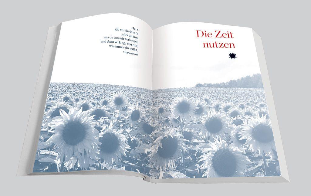 Beispielinhalt (Bild) Dir neu begegnen