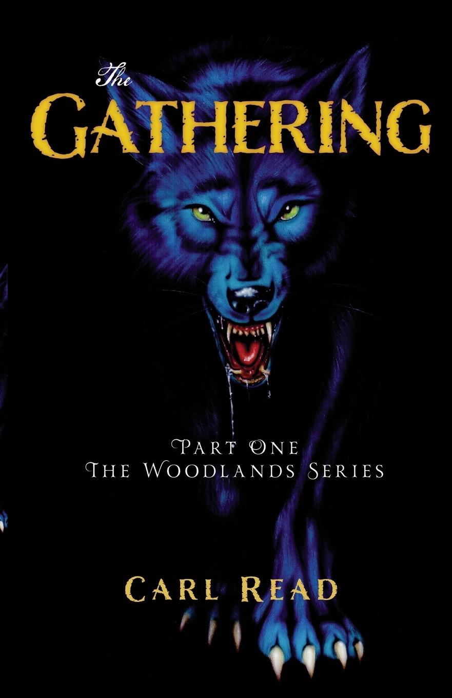 Vorderes Coverbild The Gathering