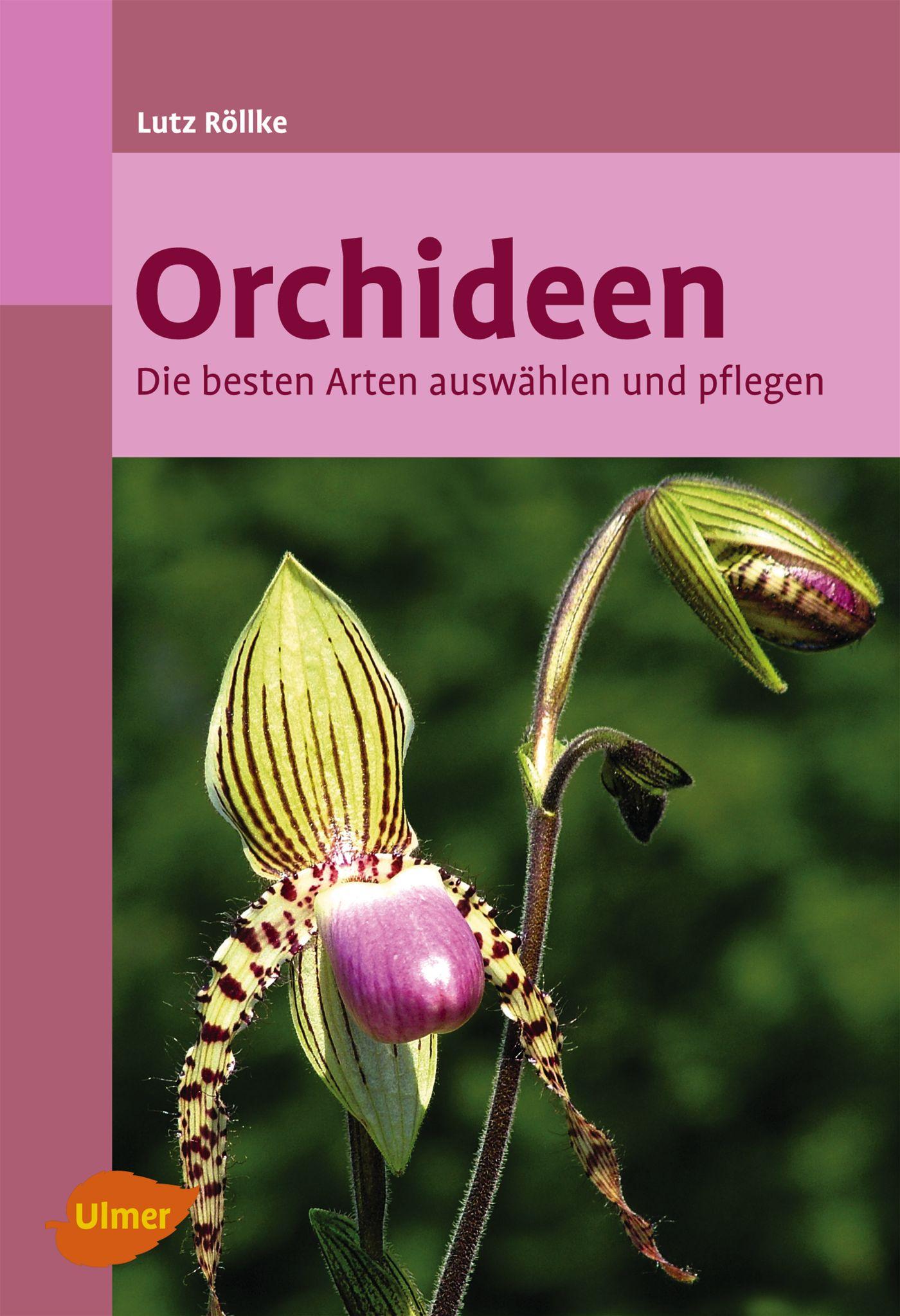 Vorderes Coverbild Orchideen