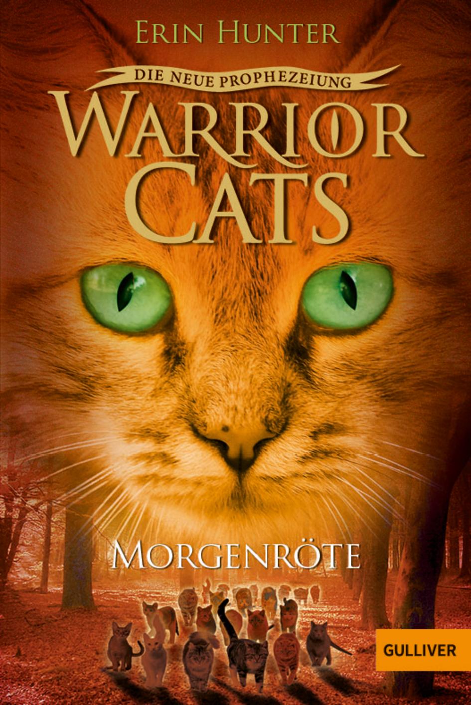 Vorderes Coverbild Warrior Cats Staffel 2/03. Die neue Prophezeiung. Morgenröte