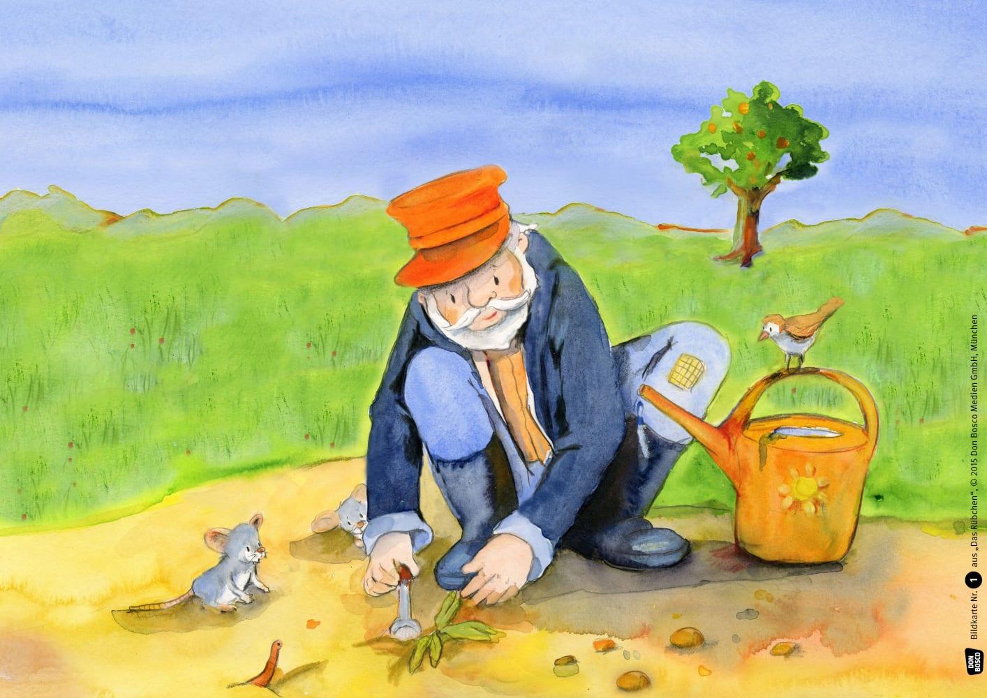 Beispielinhalt (Bild) Das Rübchen. Kamishibai Bildkartenset