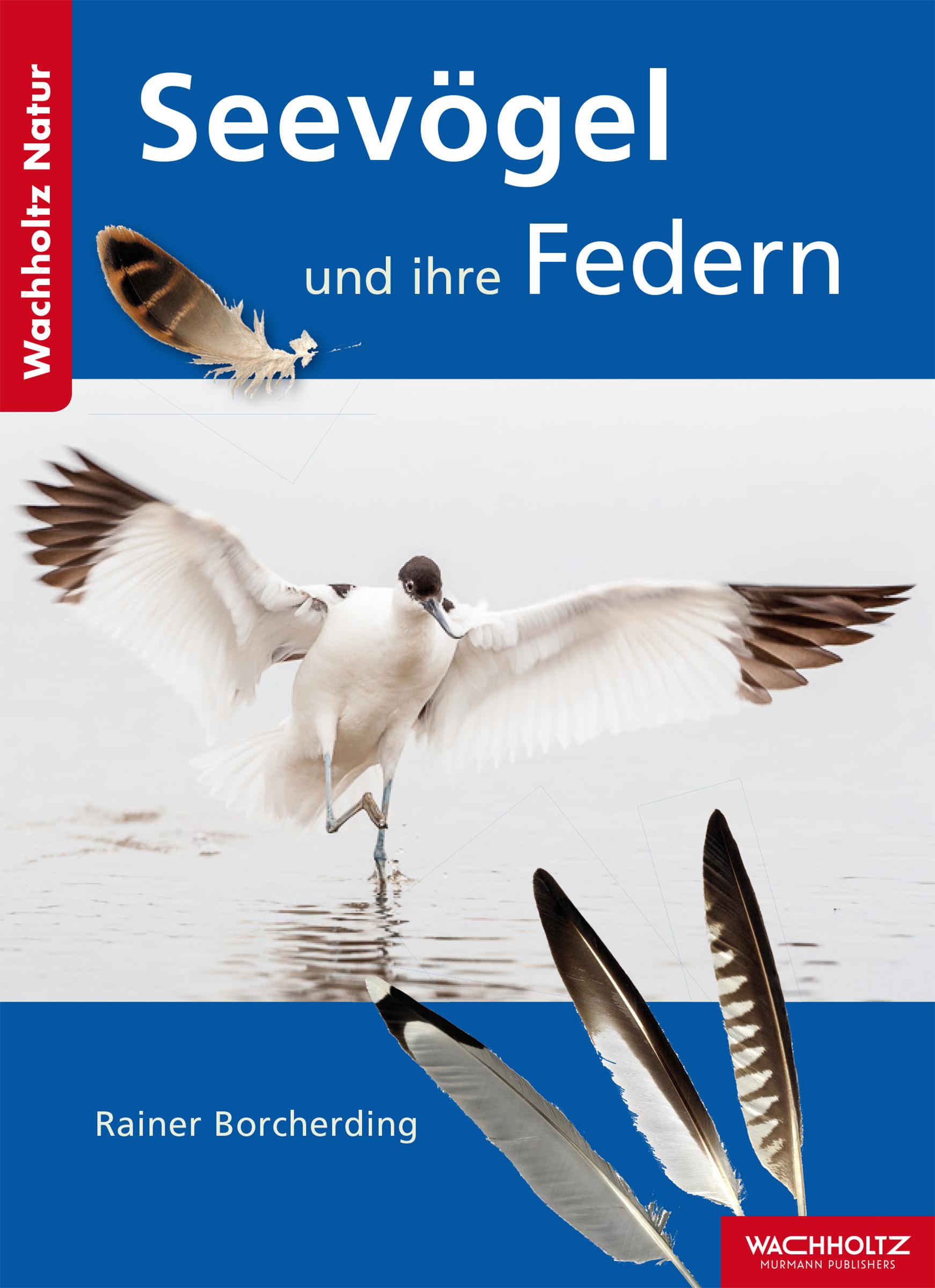 Vorderes Coverbild Seevögel und ihre Federn