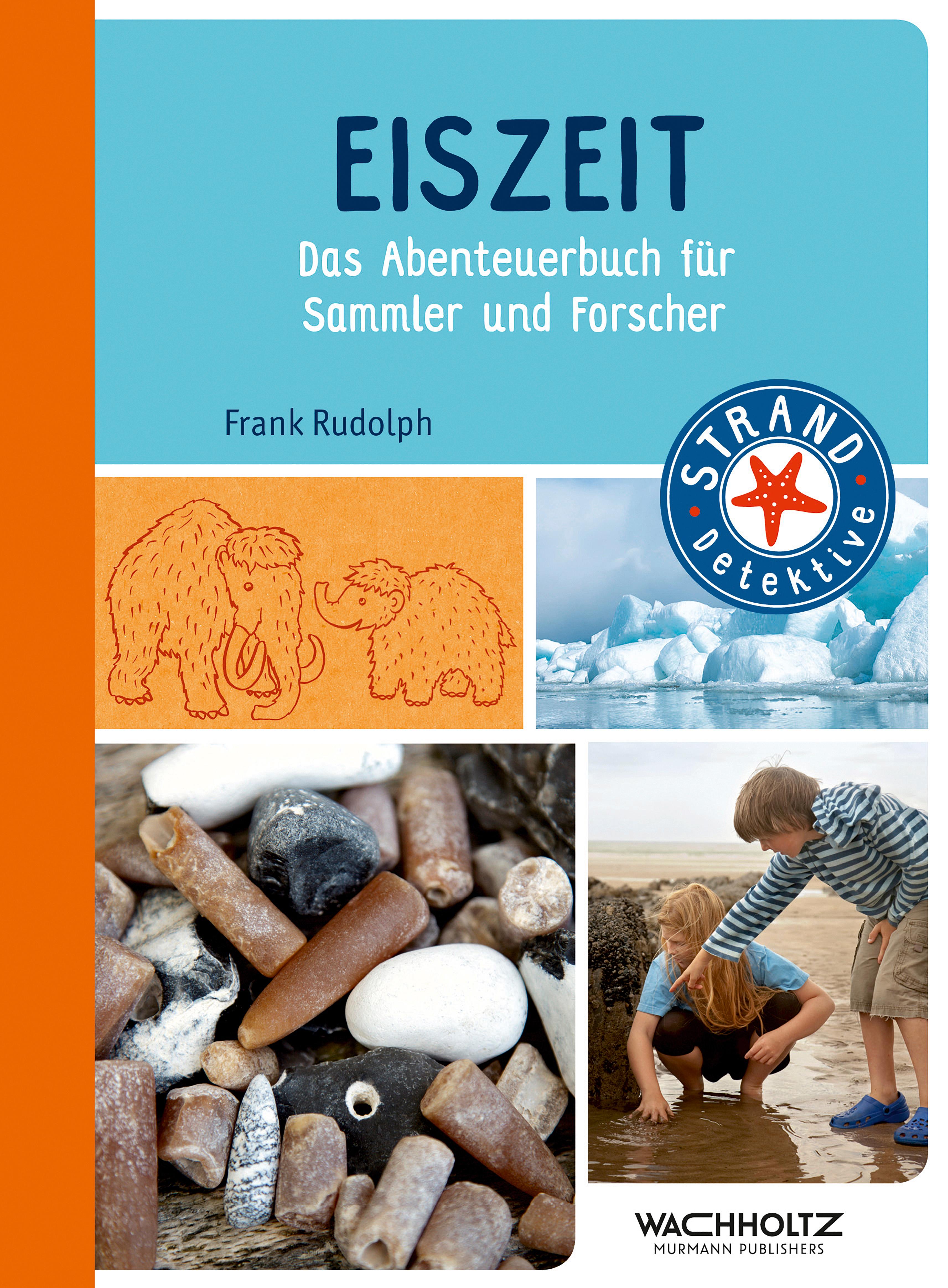 Vorderes Coverbild Eiszeit
