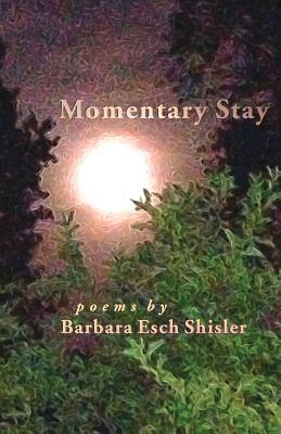 Vorderes Coverbild Momentary Stay
