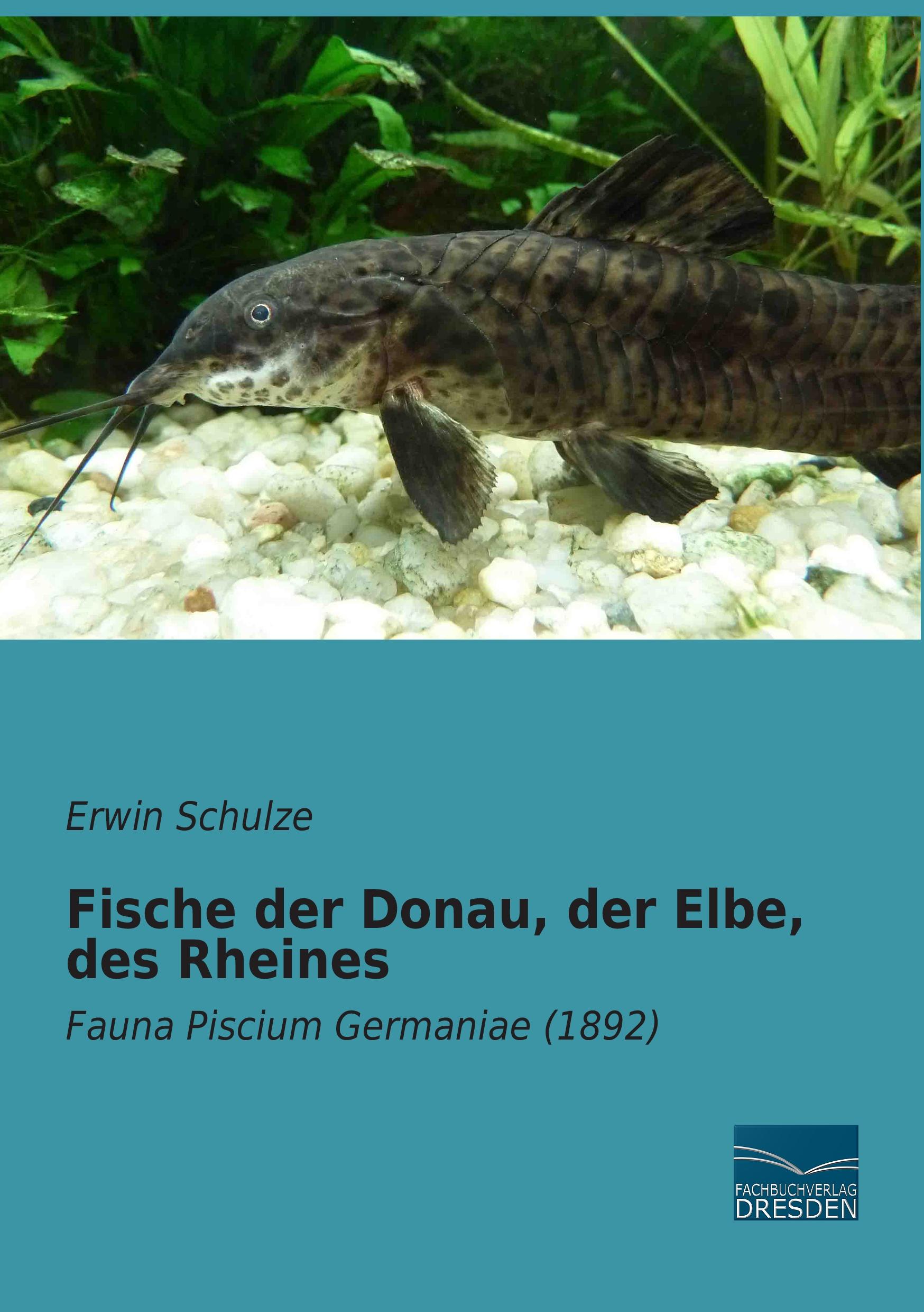 Vorderes Coverbild Fische der Donau, der Elbe, des Rheines