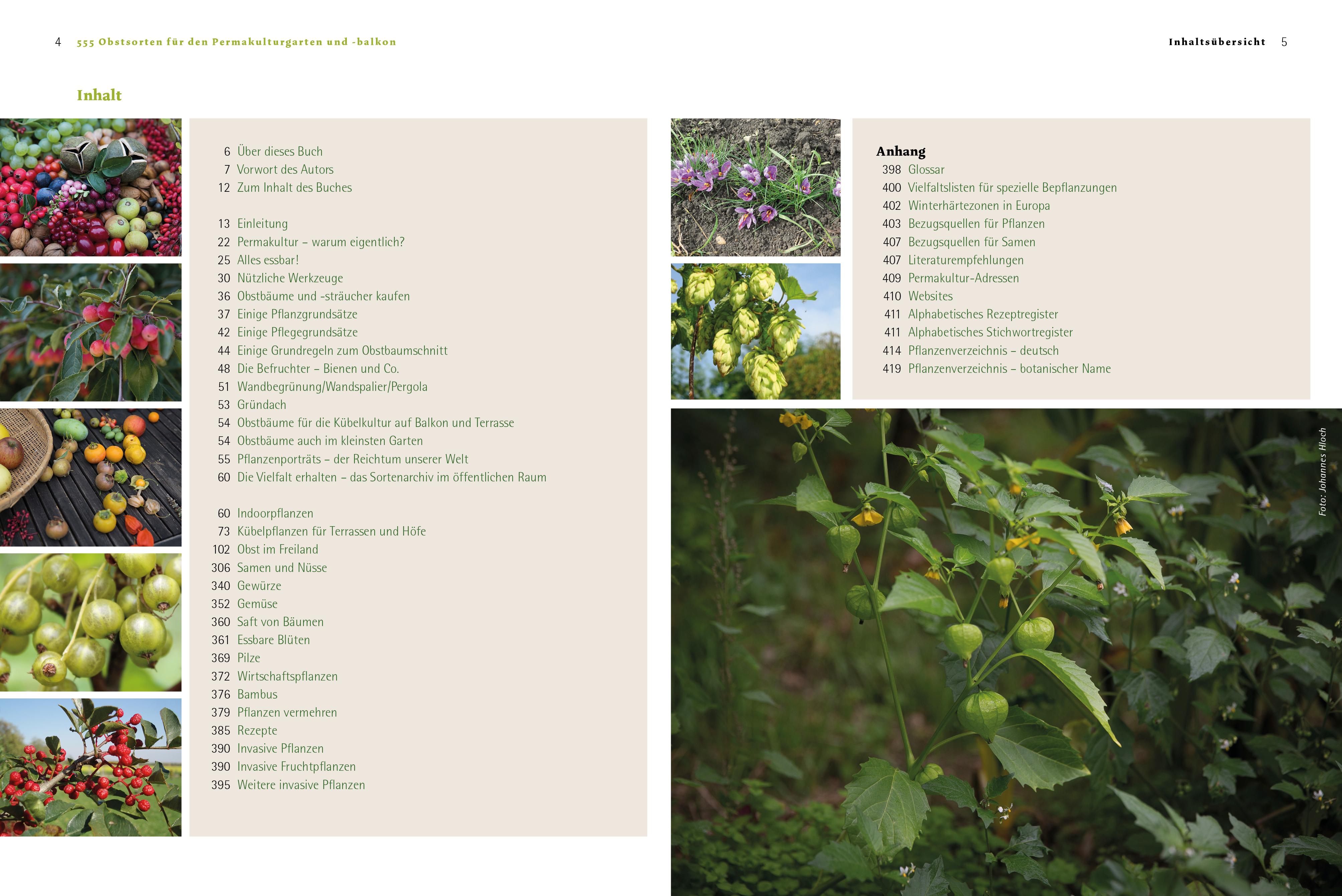 Beispielinhalt (Bild) 555 Obstsorten für den Permakulturgarten und -balkon