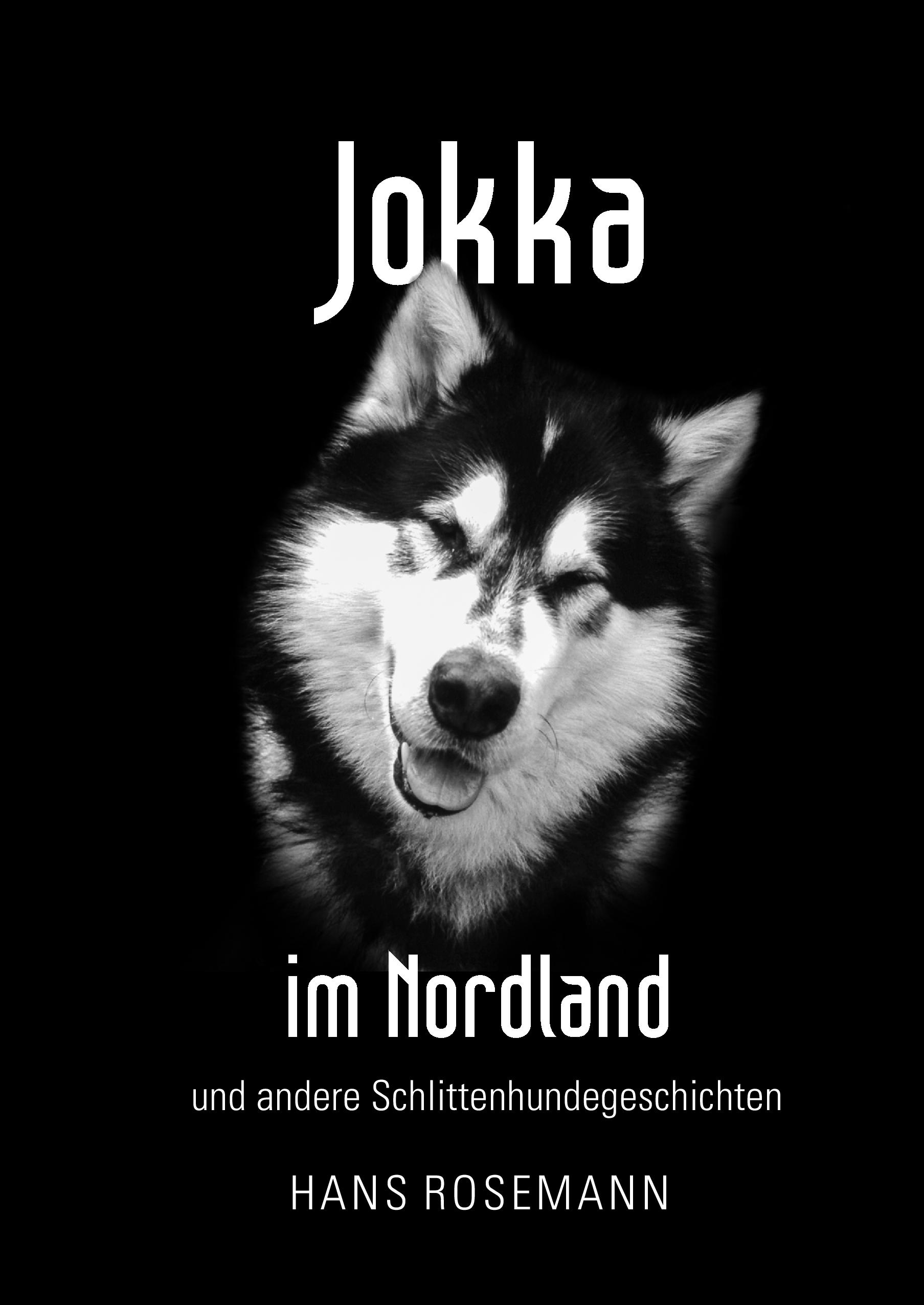 Vorderes Coverbild Jokka