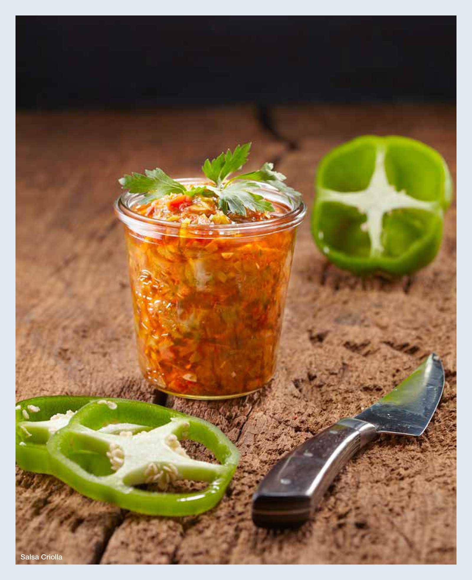 Beispielinhalt (Bild) Steven Raichlens Barbecue Bible