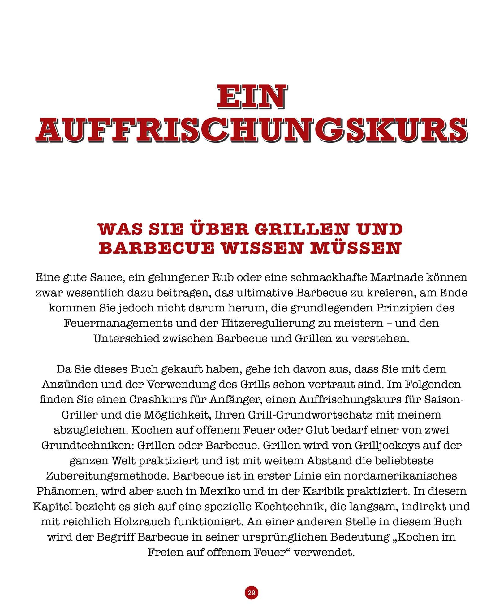 Beispielinhalt (Bild) Steven Raichlens Barbecue Bible