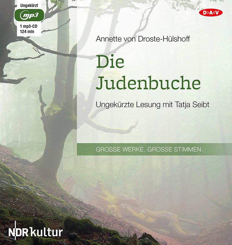 Vorderes Coverbild Die Judenbuche