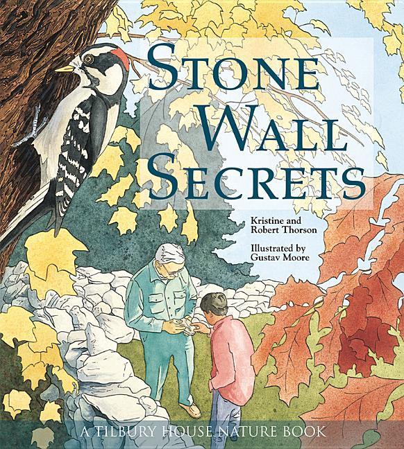 Vorderes Coverbild Stone Wall Secrets