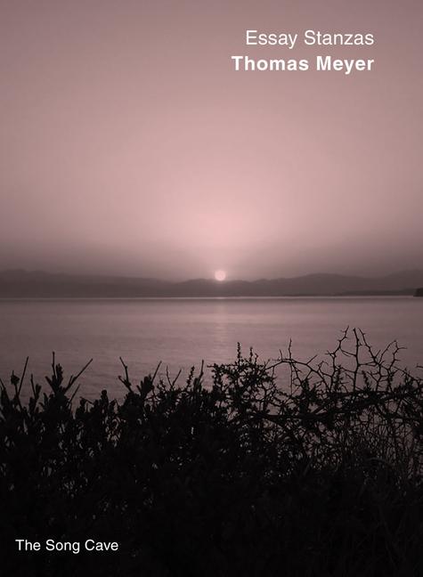 Vorderes Coverbild Essay Stanzas