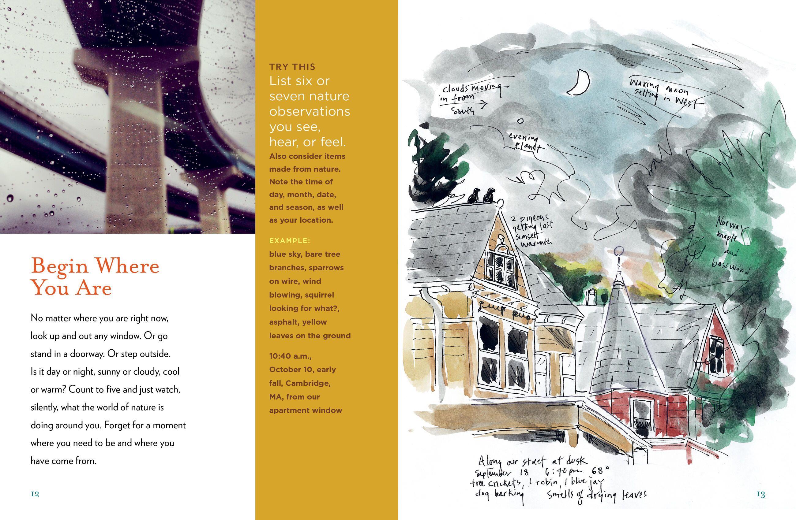 Beispielinhalt (Bild) The Curious Nature Guide