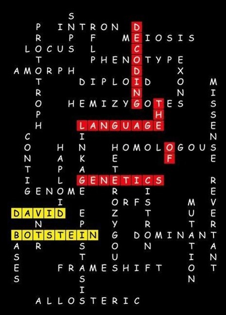 Vorderes Coverbild Decoding the Language of Genetics