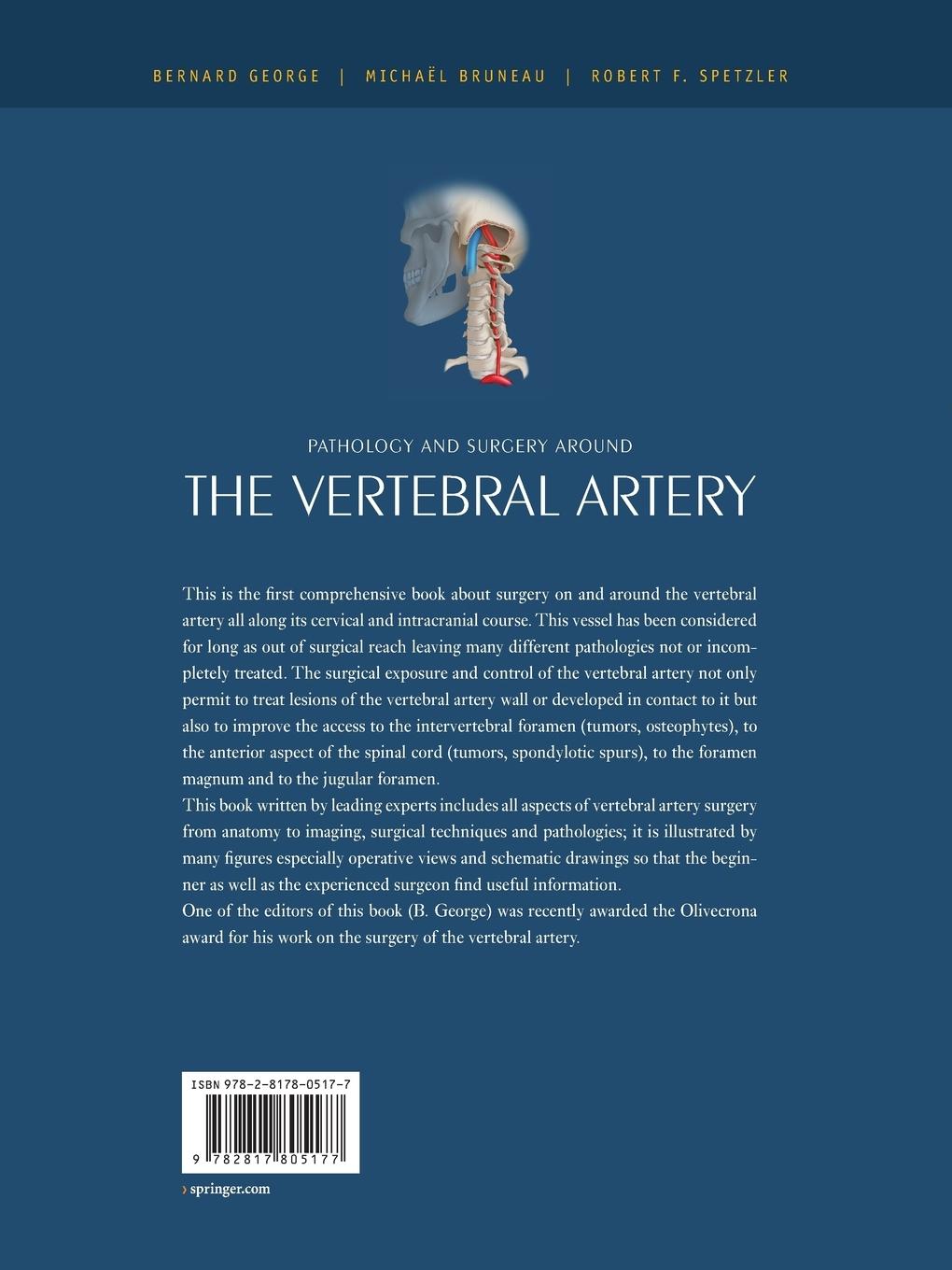 Rückseitencover Pathology and surgery around the vertebral artery