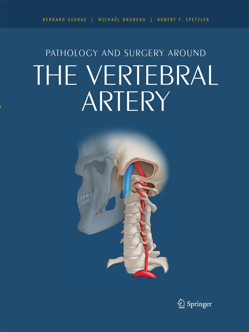 Vorderes Coverbild Pathology and surgery around the vertebral artery