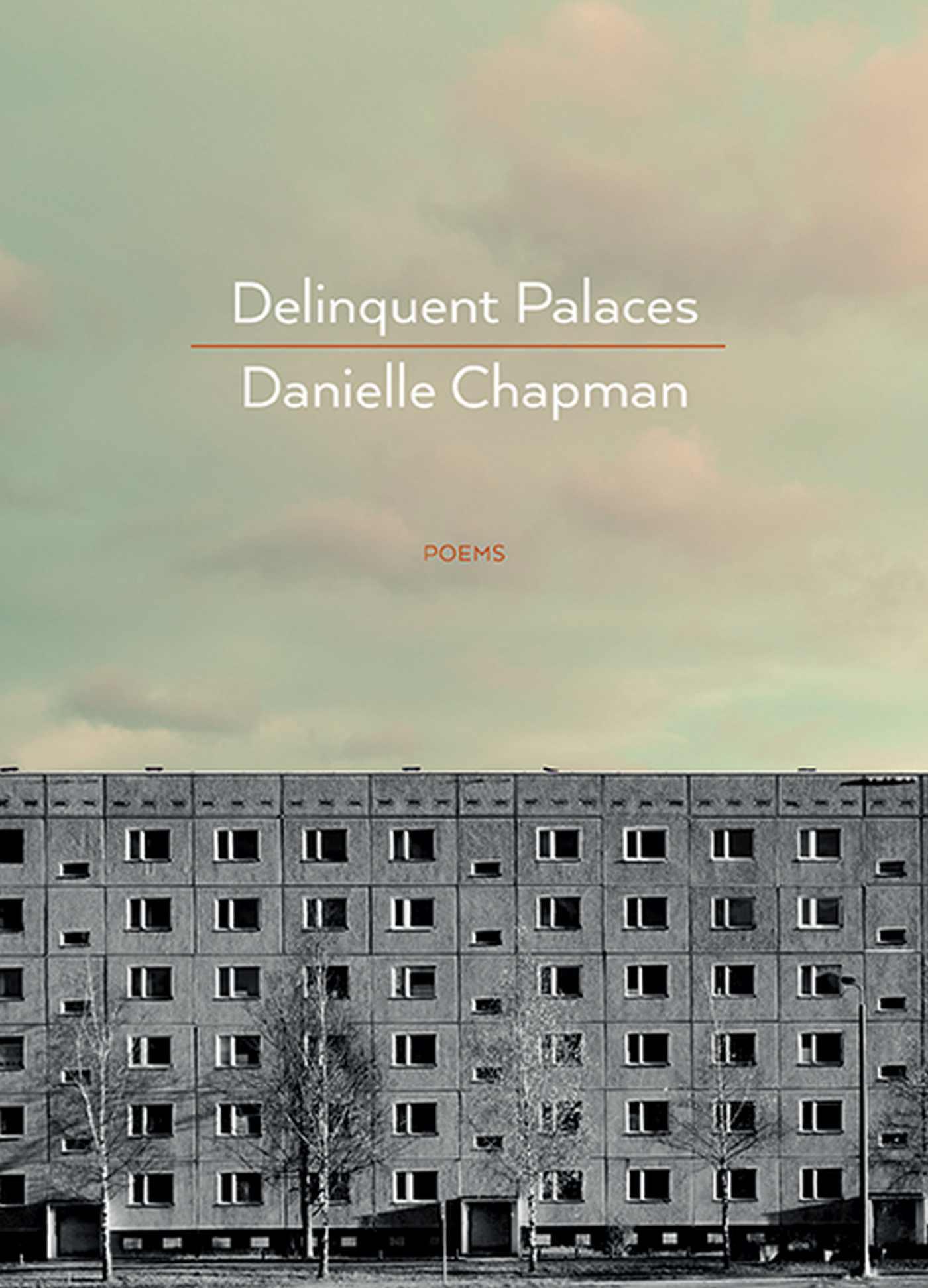 Vorderes Coverbild Delinquent Palaces: Poems