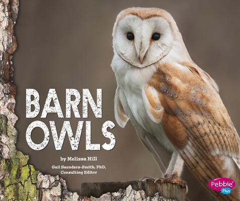 Vorderes Coverbild Barn Owls