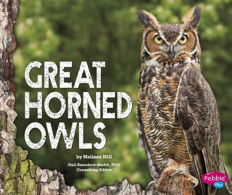 Vorderes Coverbild Great Horned Owls