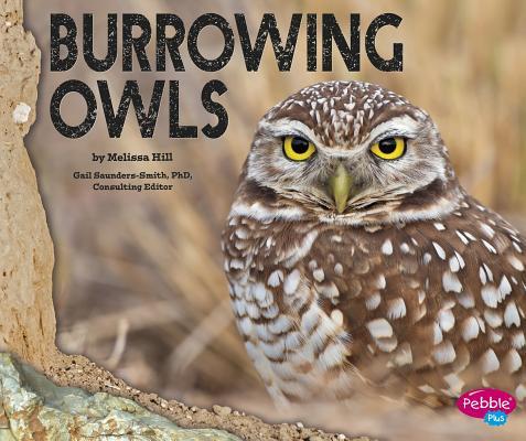 Vorderes Coverbild Burrowing Owls