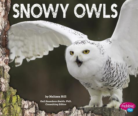 Vorderes Coverbild Snowy Owls