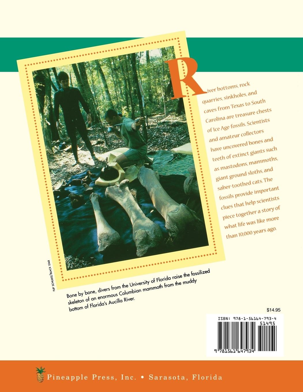 Rückseitencover Ice Age Giants of the South