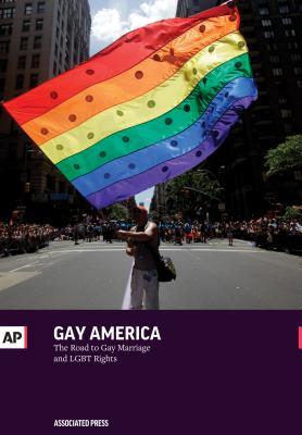 Vorderes Coverbild Gay America