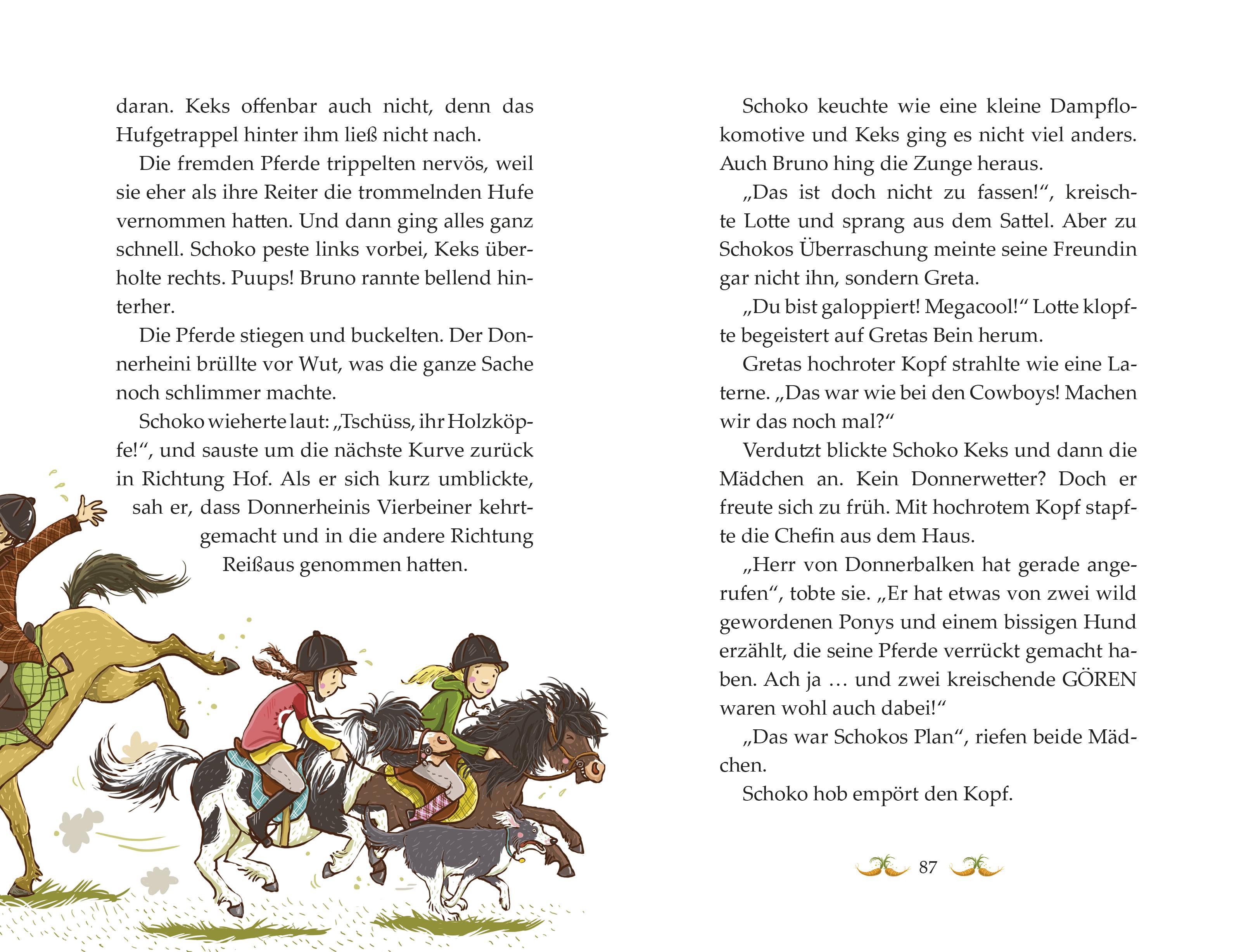 Beispielinhalt (Bild) Die Haferhorde 01. Flausen im Schopf