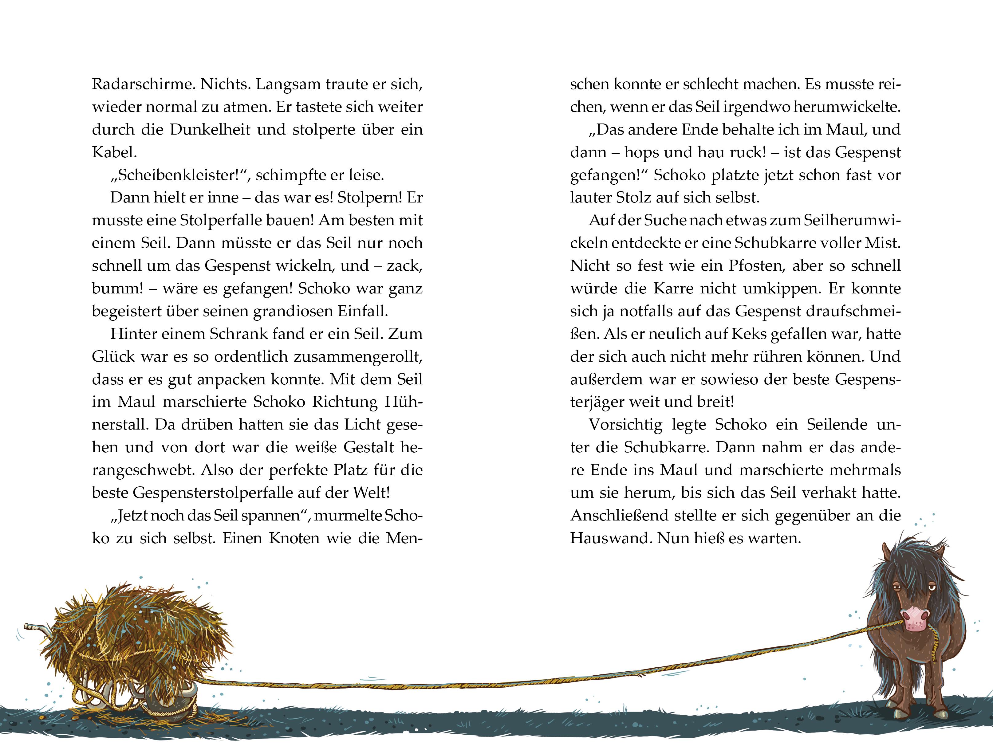 Beispielinhalt (Bild) Die Haferhorde 01. Flausen im Schopf