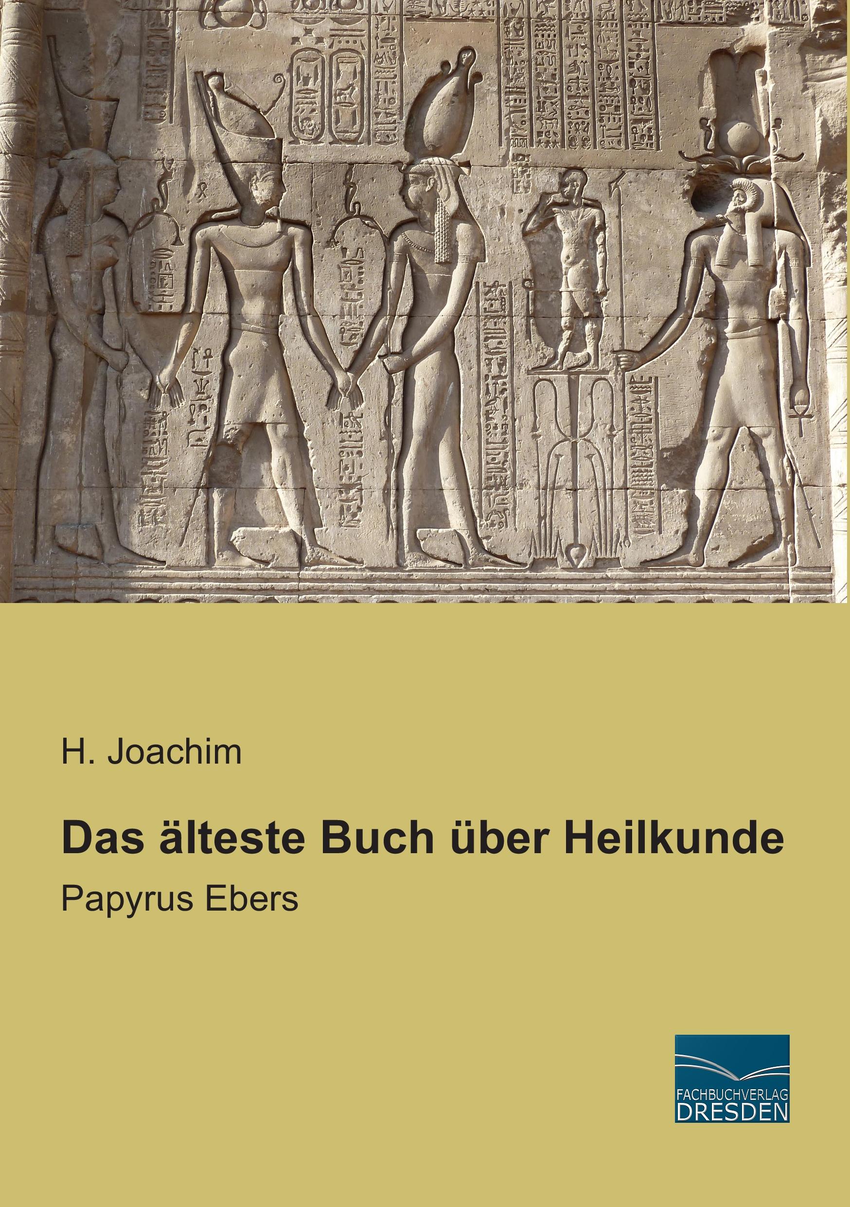Vorderes Coverbild Das älteste Buch über Heilkunde
