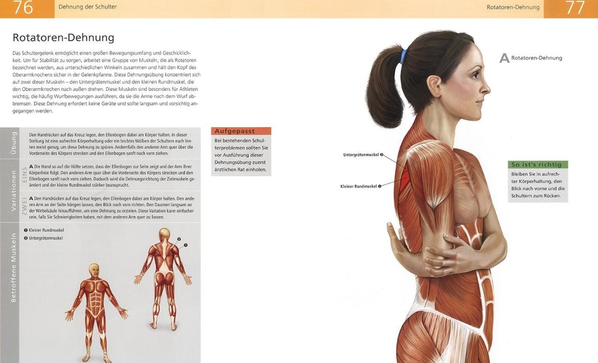 Beispielinhalt (Bild) Das Anatomie-Buch der Stretch Übungen