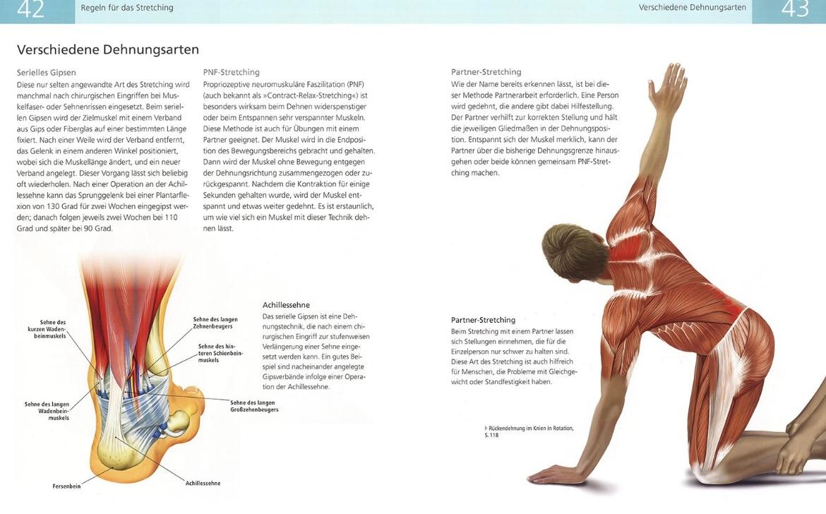 Beispielinhalt (Bild) Das Anatomie-Buch der Stretch Übungen