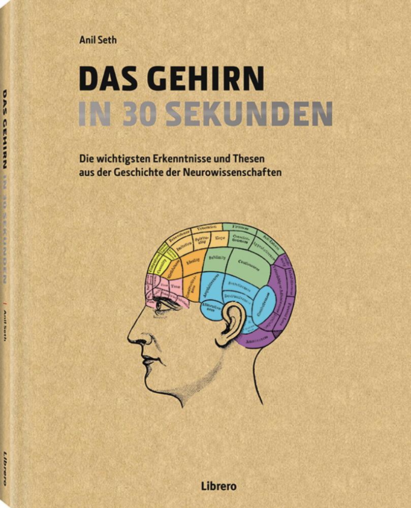 Vorderes Coverbild Das Gehirn in 30 Sekunden