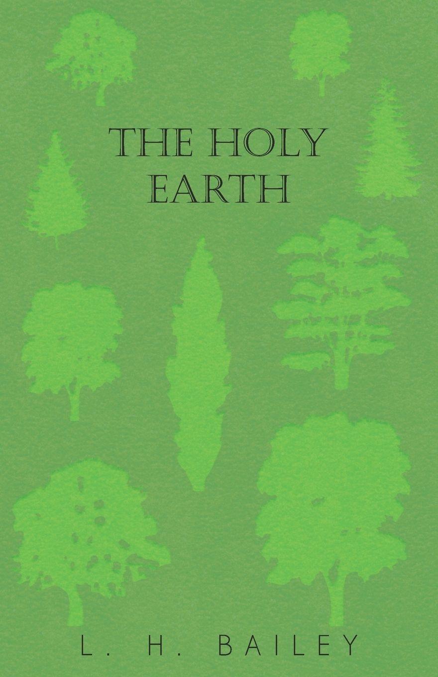 Vorderes Coverbild The Holy Earth