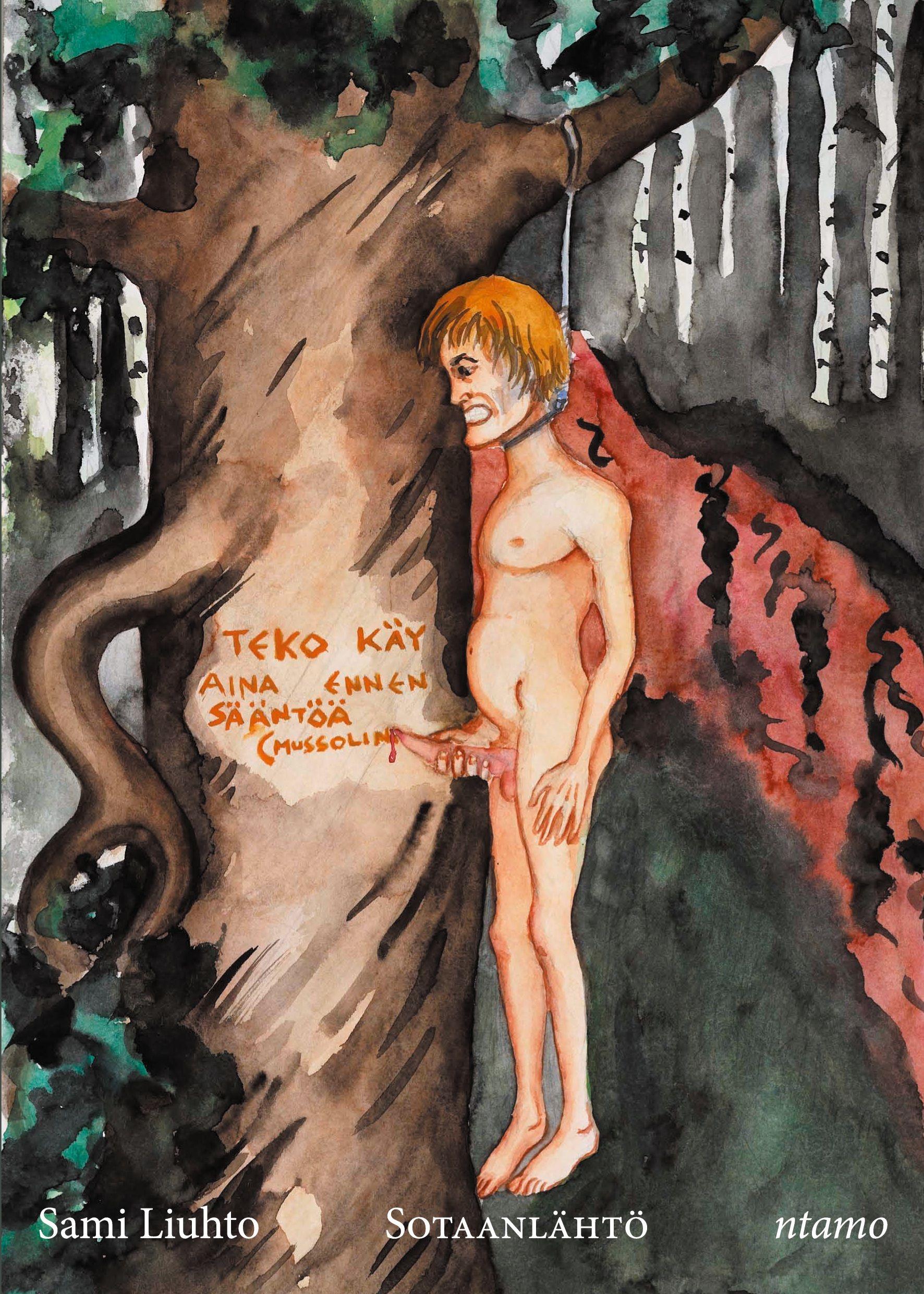 Vorderes Coverbild Sotaanlähtö