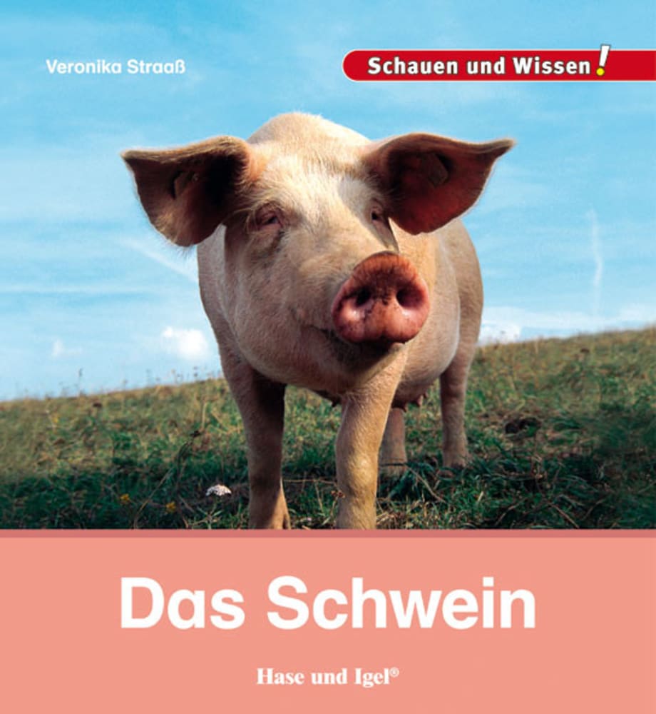 Vorderes Coverbild Das Schwein