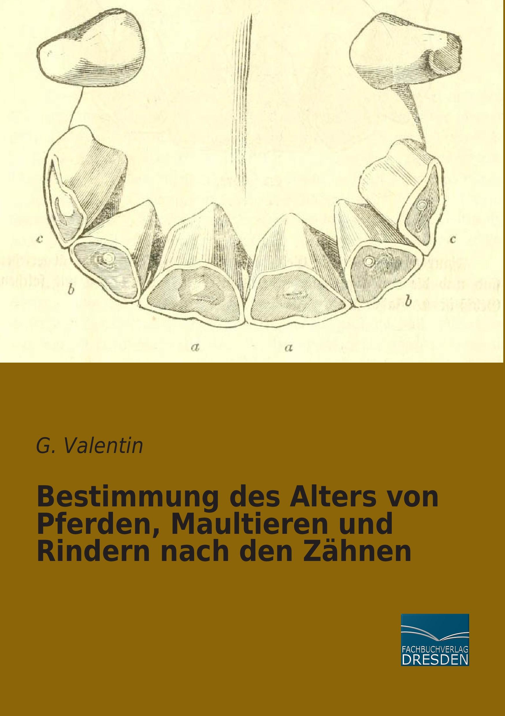 Vorderes Coverbild Bestimmung des Alters von Pferden, Maultieren und Rindern nach den Zähnen