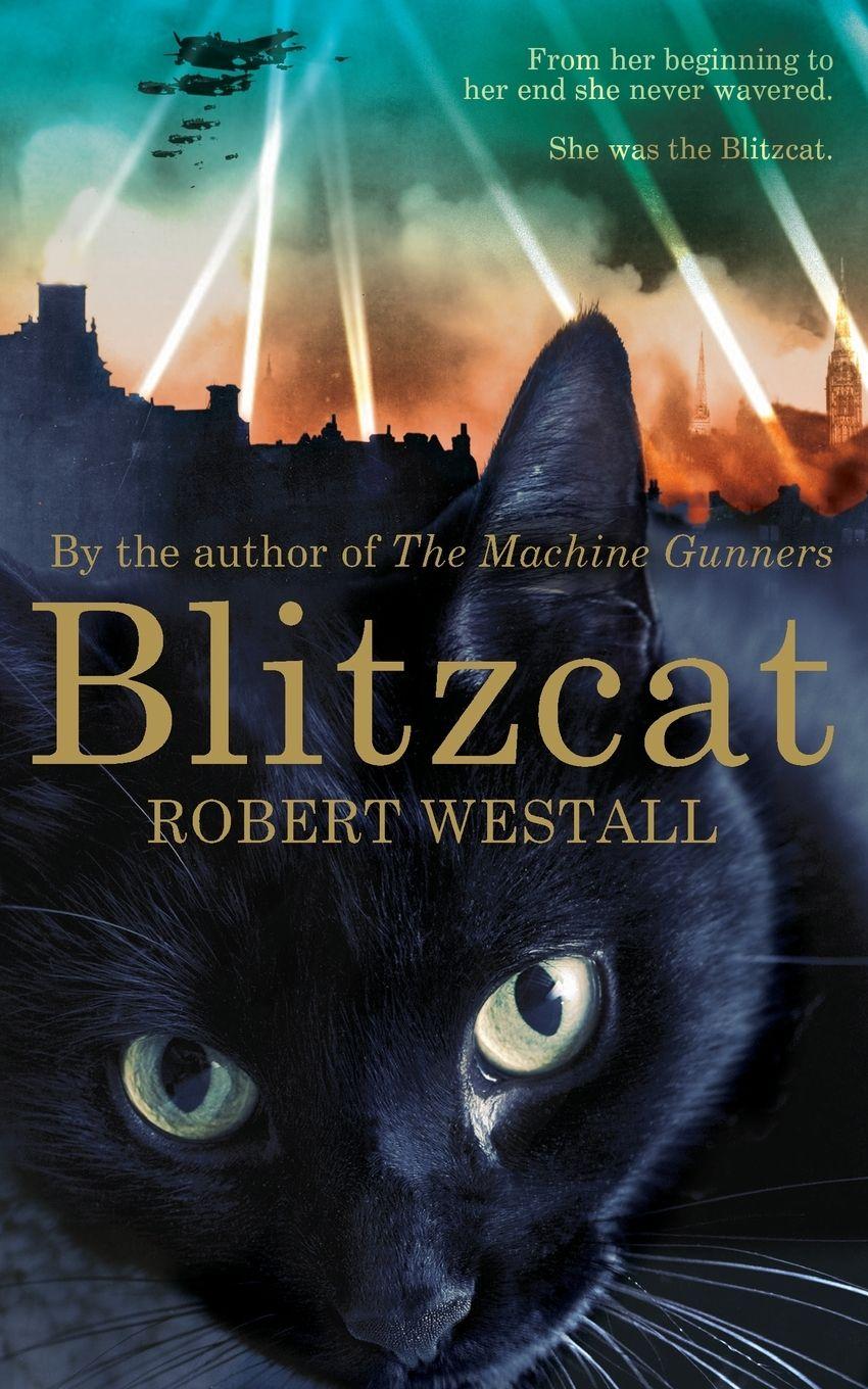 Vorderes Coverbild Blitzcat