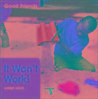Vorderes Coverbild It Won't Work