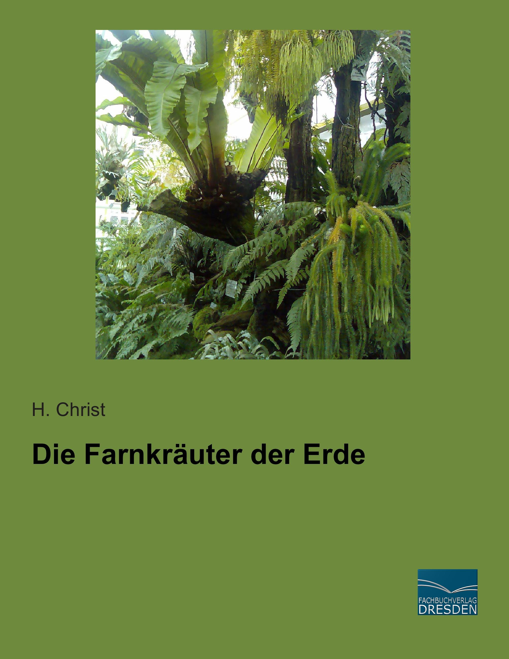 Vorderes Coverbild Die Farnkräuter der Erde